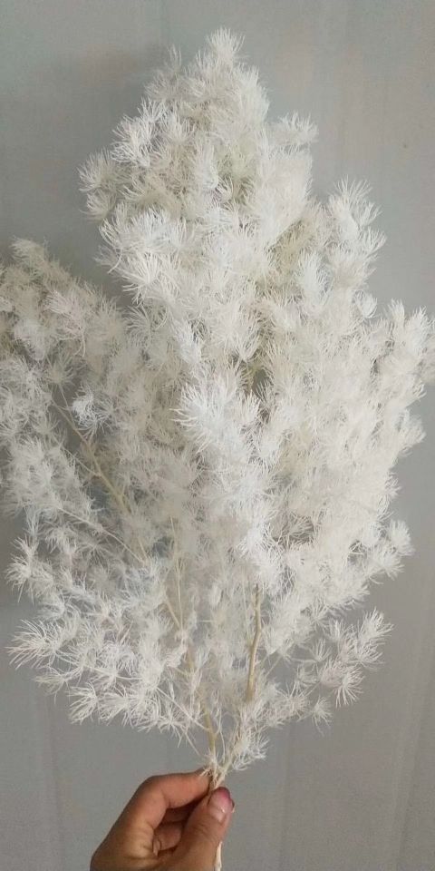 鲜花店配件干花 保鲜花 永生花 蓬莱松