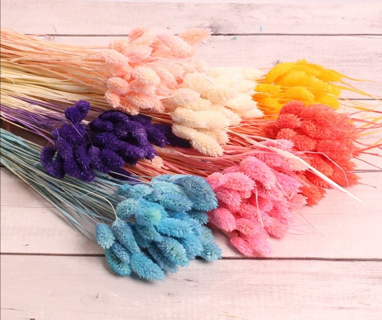 Dried flower, eternal flower, gemstone grass Application Scenario