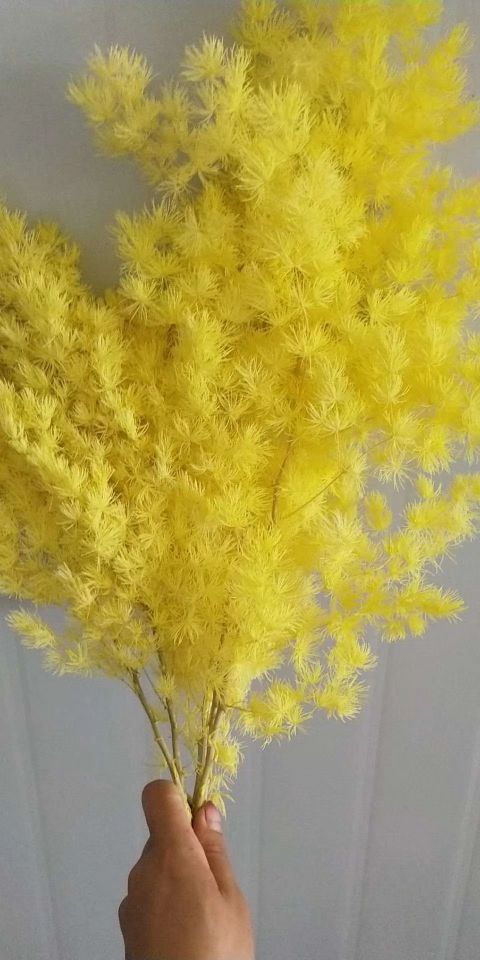 Flower shop accessories: dried flowers, preserved flowers, everlasting flowers, and pomelo details Picture