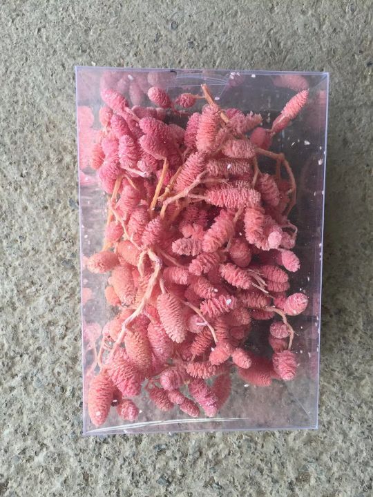 台商馆(花类·饰品·工艺品)细节图