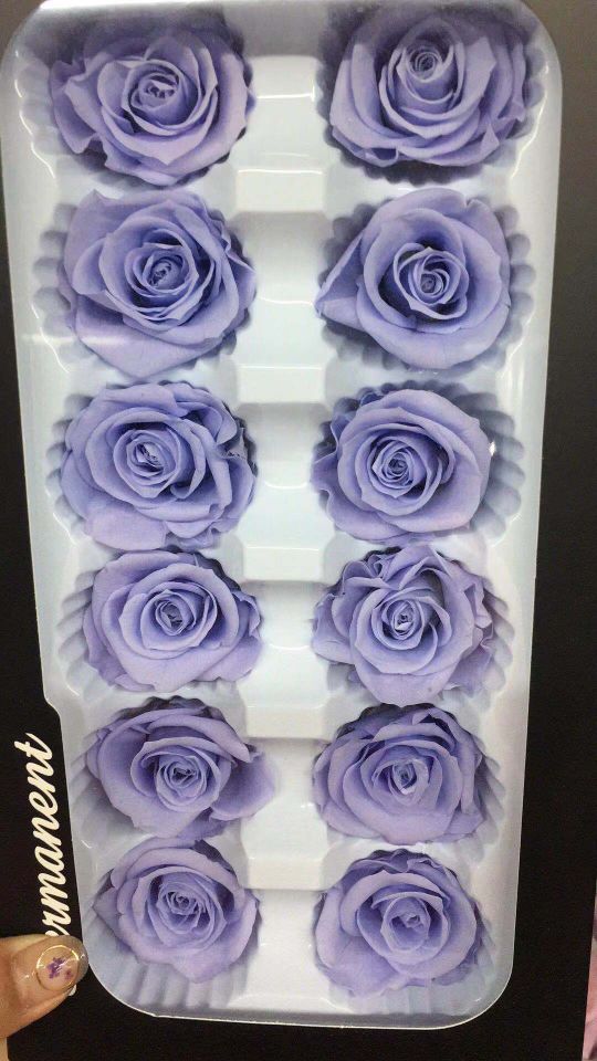 Everlasting rose, 3-4cm preserved flower Application Scenario