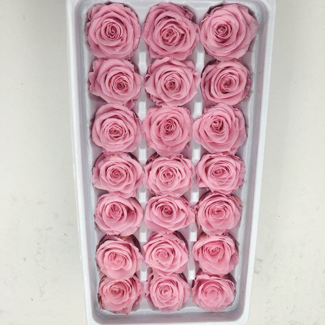 永生花实物图