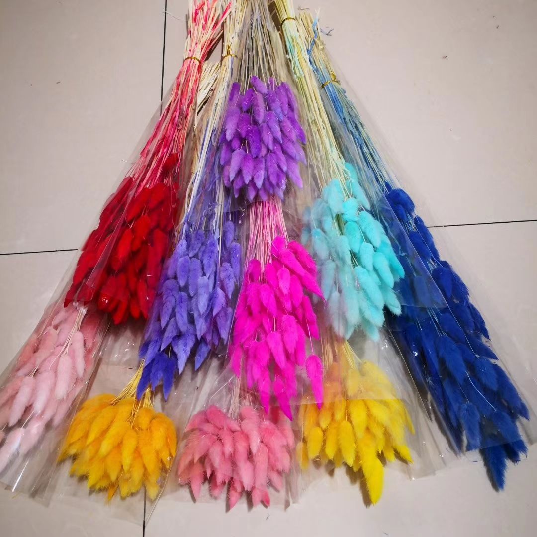The dried flowers of the asters, the eternal flowers of the rabbit tail and dog tail grasses Application Scenario