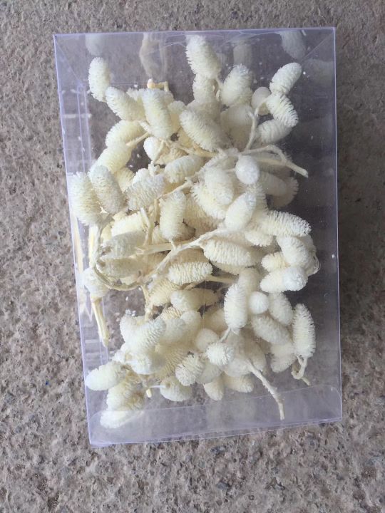 台商馆(花类·饰品·工艺品)产品图