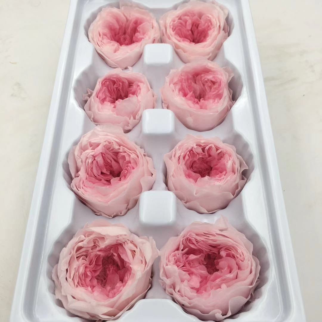 台商馆(花类·饰品·工艺品)细节图