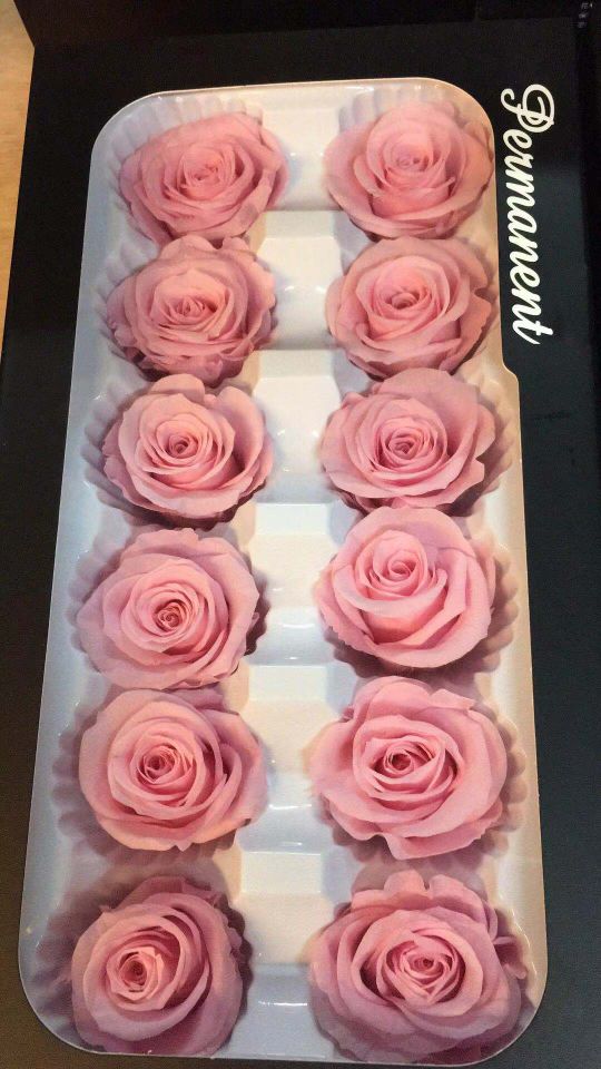 Everlasting rose, 3-4cm preserved flower Specification image