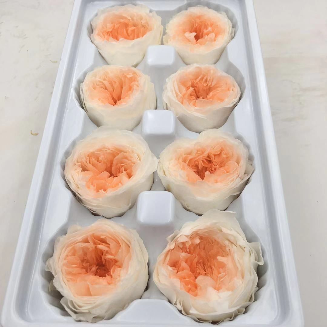永生花实物图