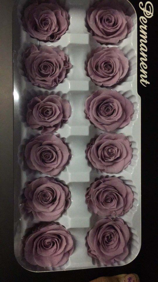 Everlasting rose, 3-4cm preserved flower