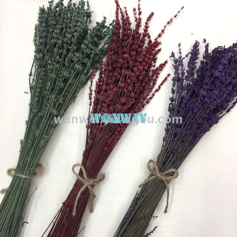 Eternal flower, preserved flower lavender Specification image