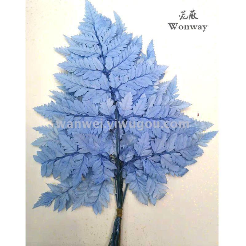 Preserved flowers, everlasting flowers, tall goat tooth fern plant handicrafts, grass floating bottles, soft furnishings, wedding supplies details Picture