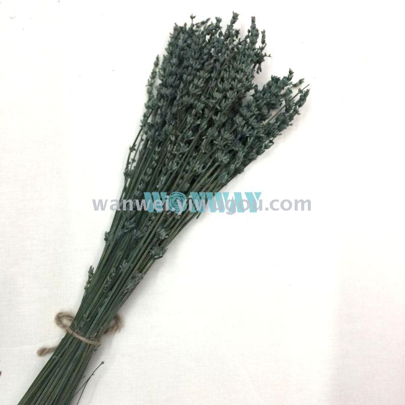 Eternal flower, preserved flower lavender Application Scenario