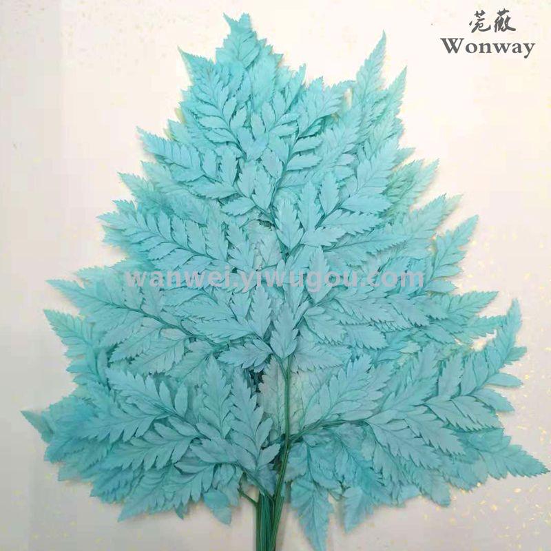Preserved flowers, everlasting flowers, tall goat tooth fern plant handicrafts, grass floating bottles, soft furnishings, wedding supplies Specification image