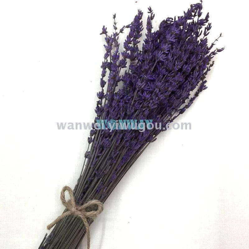 Eternal flower, preserved flower lavender details Picture