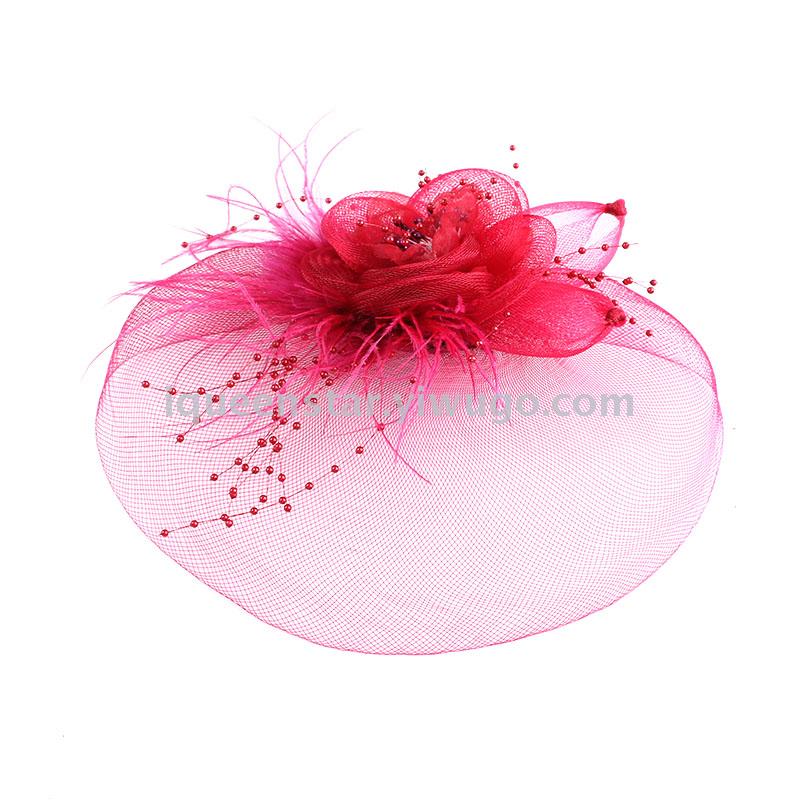 Exaggerated ostrich top hat, feather hairpin, ball performance, face cover net hat, feather decoration, headwear and hairpin Application Scenario