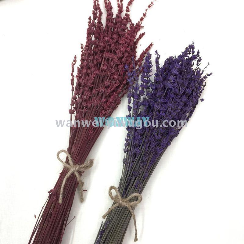 Eternal flower, preserved flower lavender