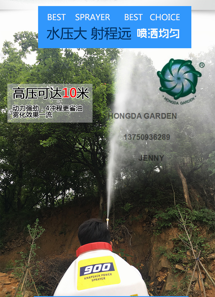 Gasoline high-pressure pesticide sprayer, four-stroke pump, backpack for garden and fruit tree powder spraying, agricultural backpack sprayer details Picture