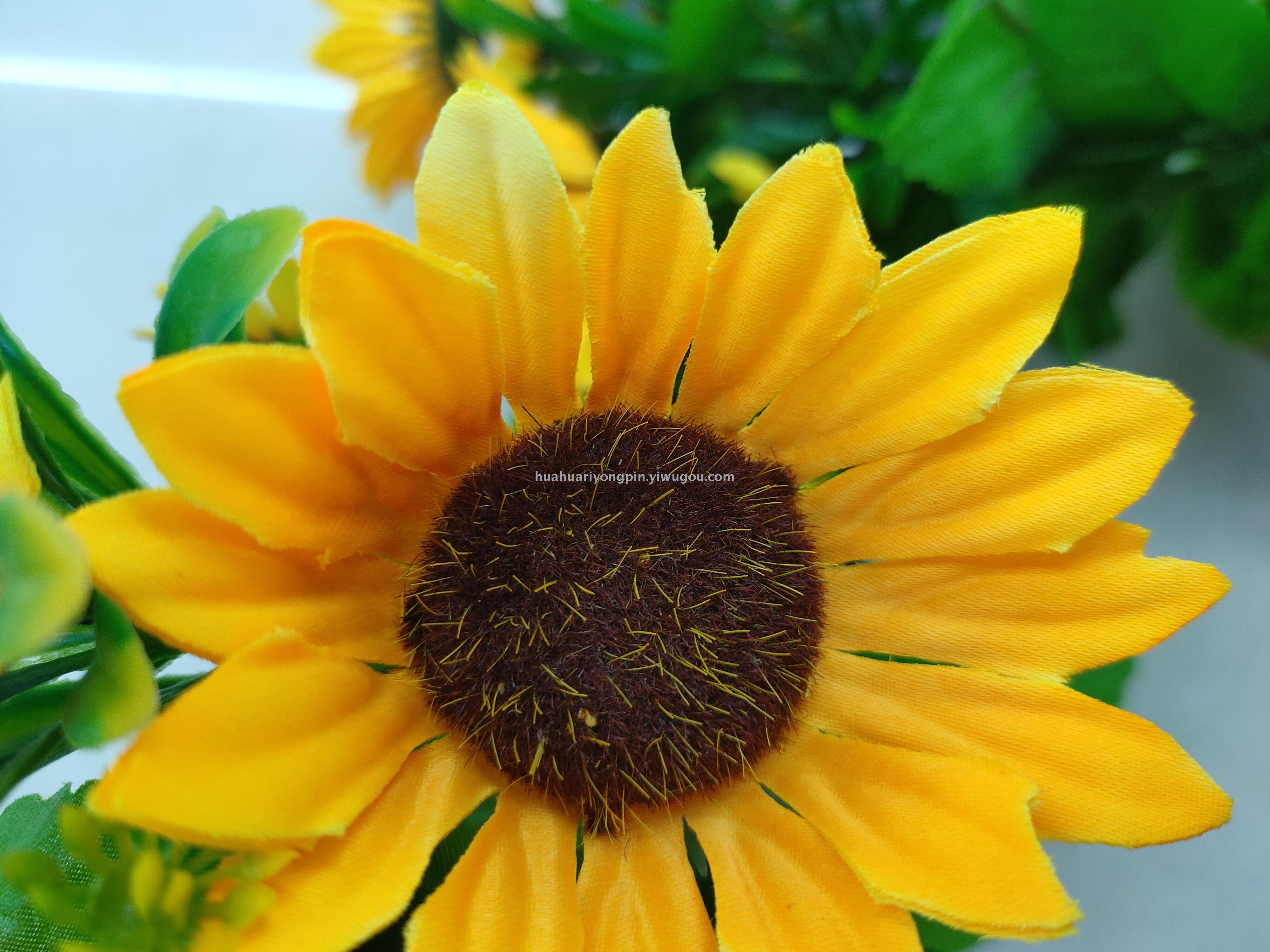 仿真植物实物图