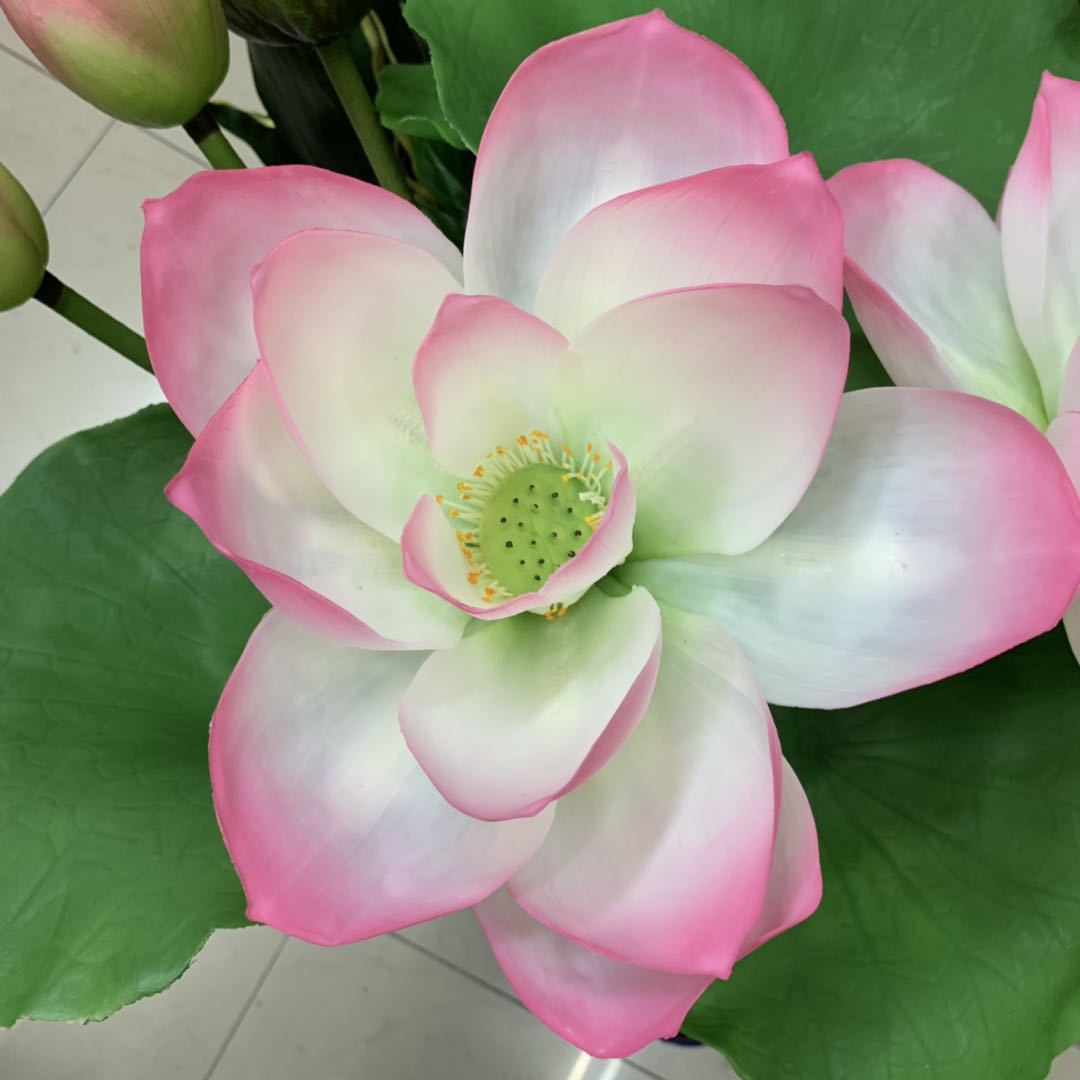Simulated stem lotus, pu lotus leaf, hand-felt lotus, plastic lotus bud, lotus pod, Chinese rural style Buddhist hall decorative flower Specification image