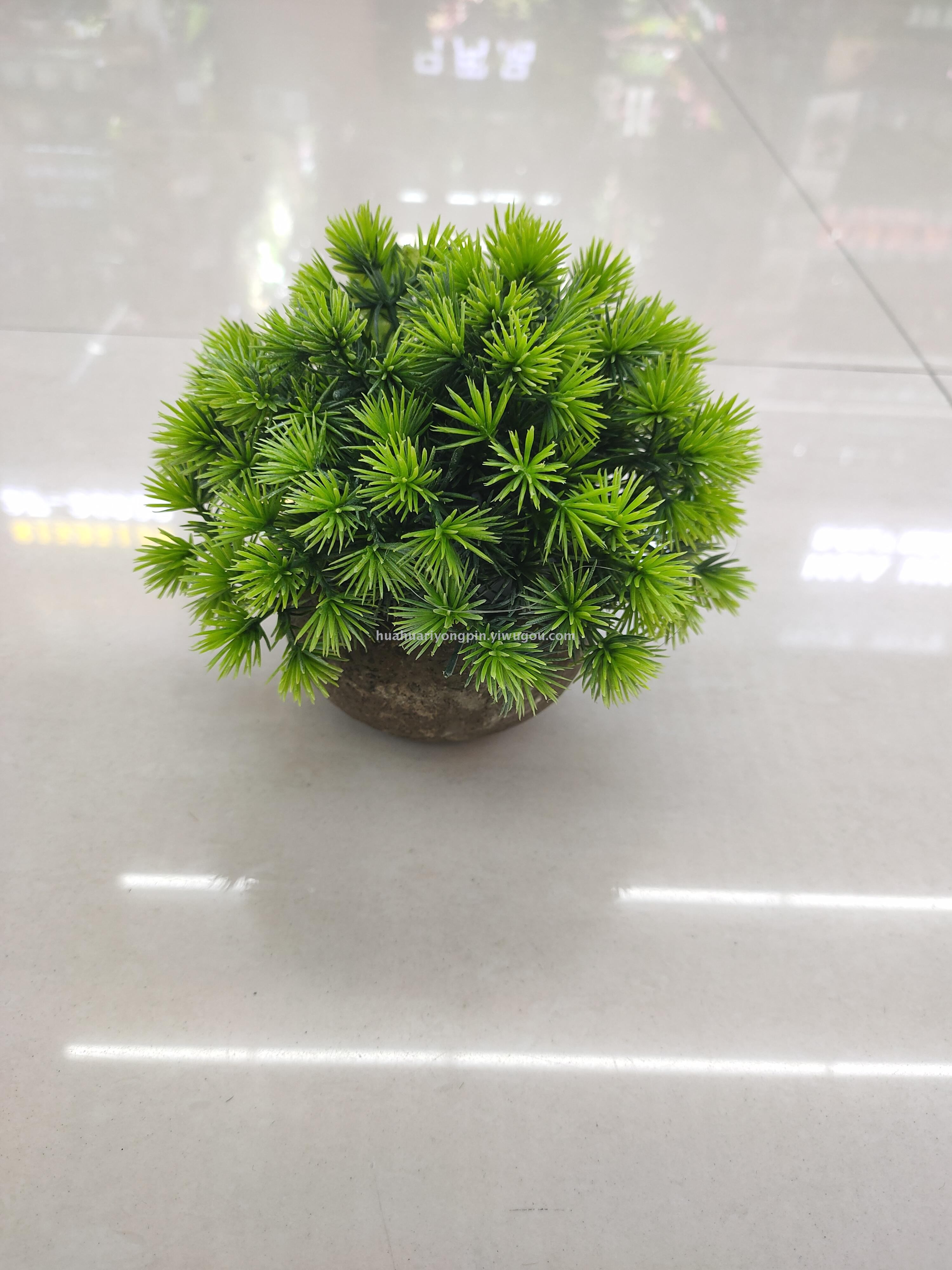 仿真植物实物图