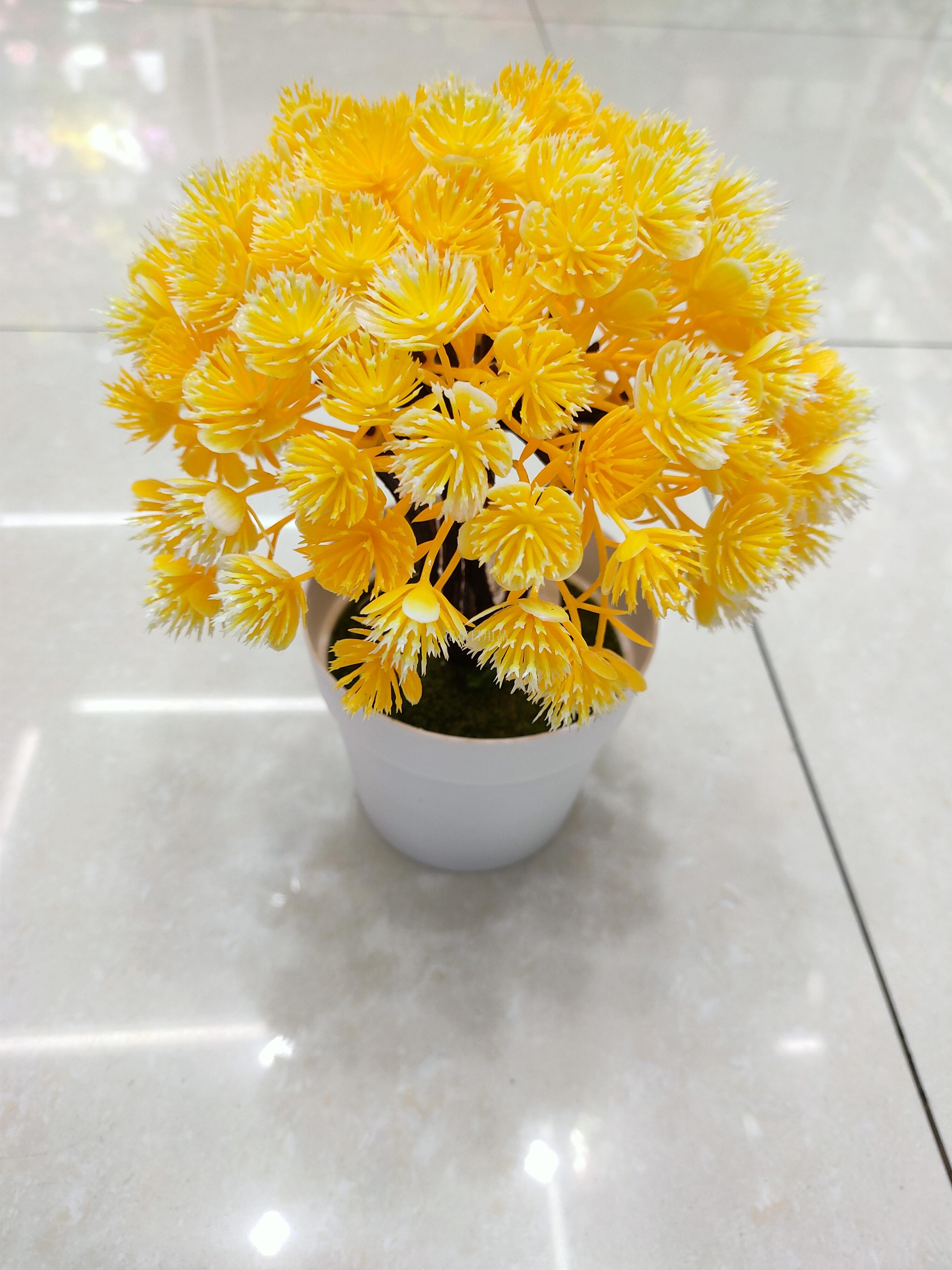 日用百货白底实物图