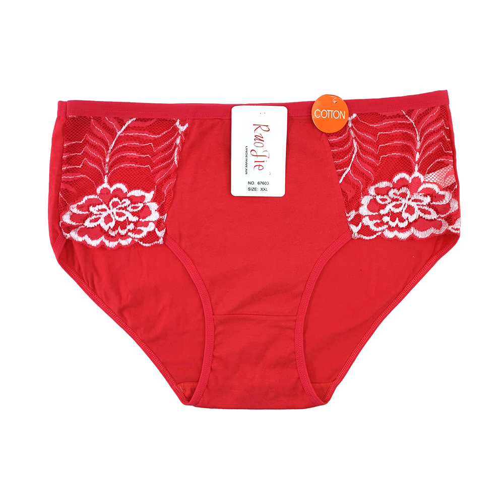 Nordic Norway 3XL oversized women's panties Embroidery lace OEM multi-size women's bra panties set Application Scenario