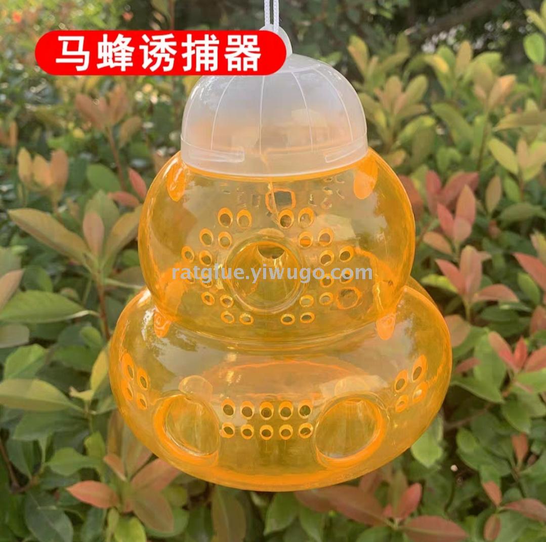 其他蜂产品实物图