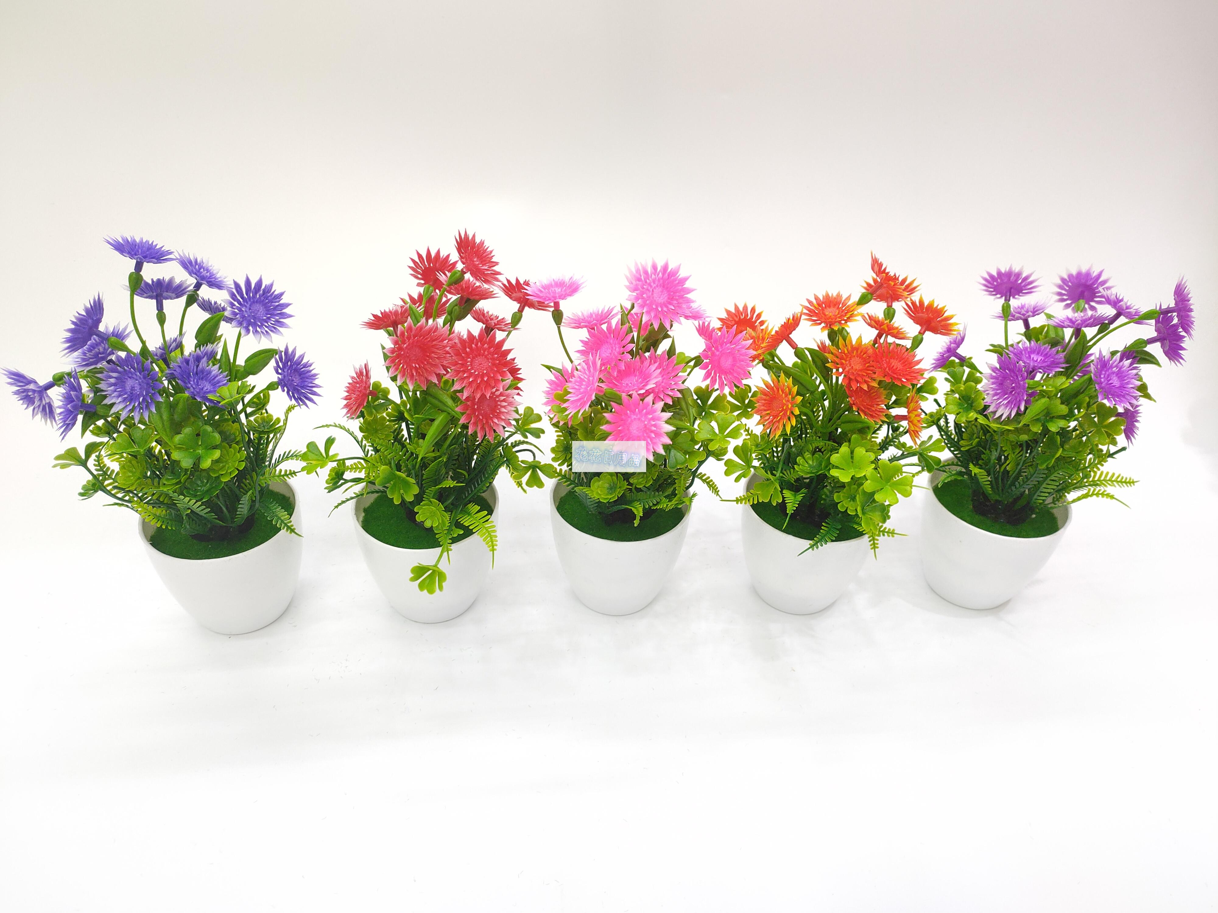 新款小盆栽仿真花五指梅花太阳菊假花办公室小摆件