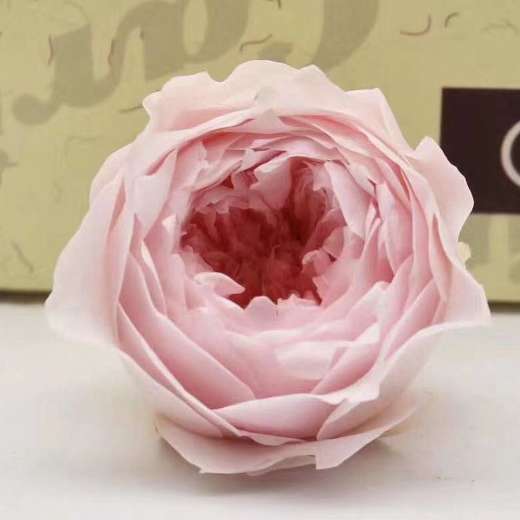 Fresh-keeping, everlasting flower, butterfly, Austin rose, flower arrangement handicraft, exclusively for flower shops Specification image
