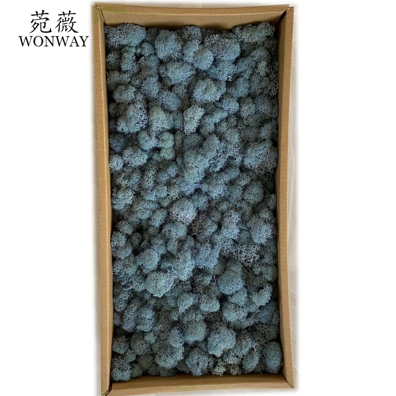 Preserved eternal flowers that do not fade, moss soft furnishings, handicrafts, courtyard wall decoration Item Picture