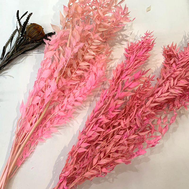 Imported dried flower material, Fugui Leaf Specification image