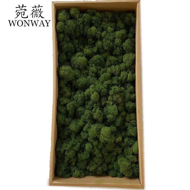 Preserved eternal flowers that do not fade, moss soft furnishings, handicrafts, courtyard wall decoration Specification image