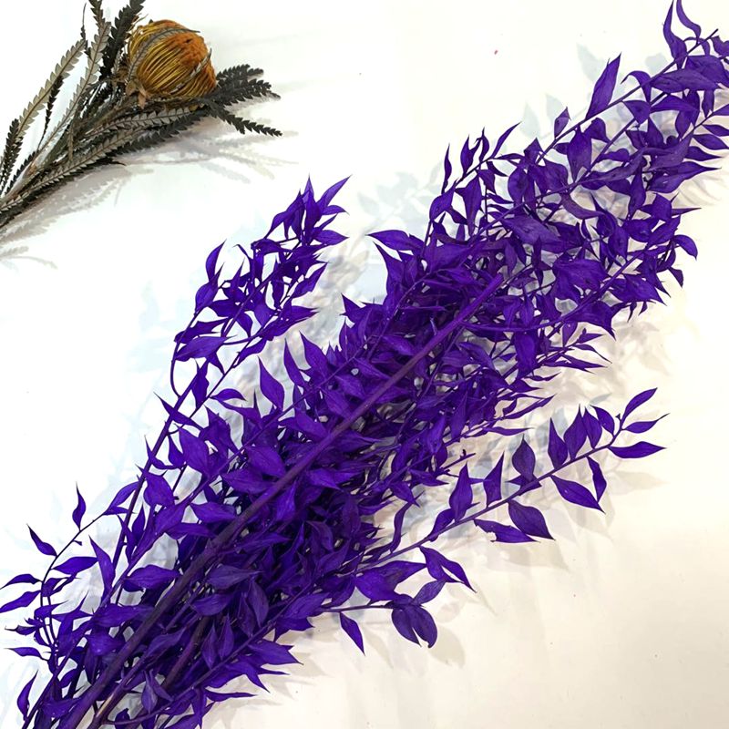 Imported dried flower material, Fugui Leaf details Picture