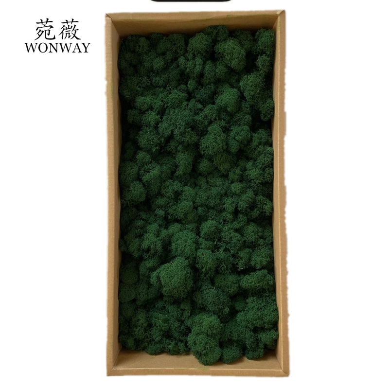 Preserved eternal flowers that do not fade, moss soft furnishings, handicrafts, courtyard wall decoration Application Scenario