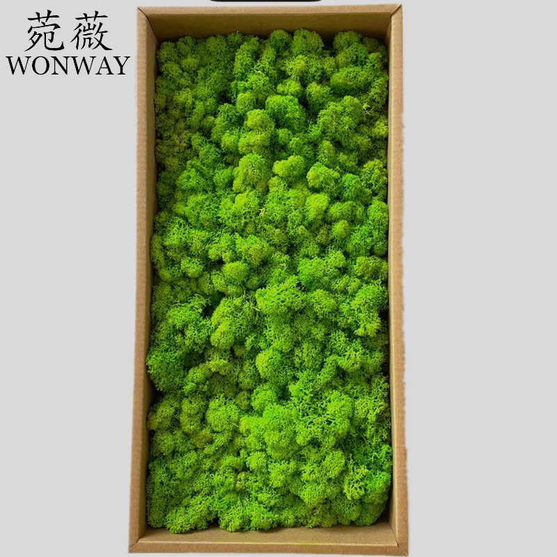 Preserved eternal flowers that do not fade, moss soft furnishings, handicrafts, courtyard wall decoration details Picture