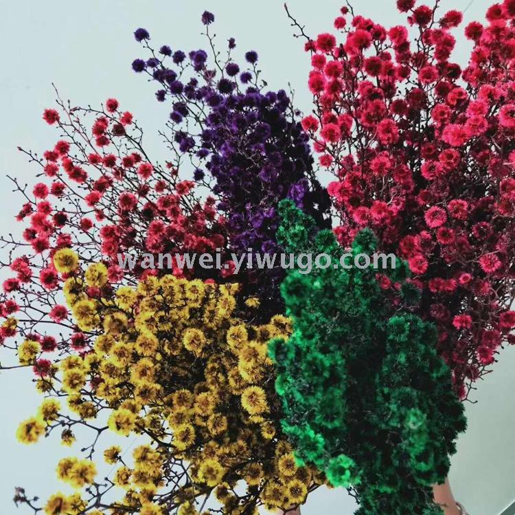 Imported preserved flowers, various preserved flower accessories, plush balls, exclusively for flower shops Item Picture