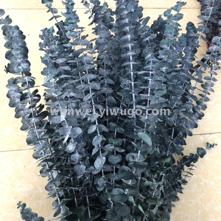 Imported everlasting flowers, Eucalyptus preserved flowers, various everlasting flower accessories, exclusively for flower shops Specification image