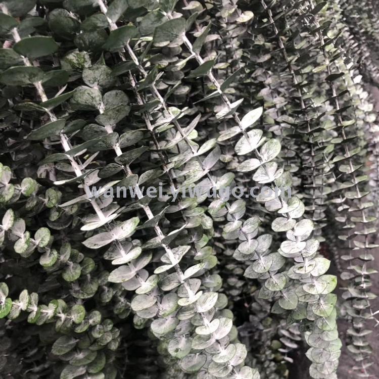 Imported everlasting flowers, Eucalyptus preserved flowers, various everlasting flower accessories, exclusively for flower shops details Picture