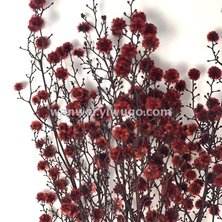 Imported preserved flowers, various preserved flower accessories, plush balls, exclusively for flower shops Specification image