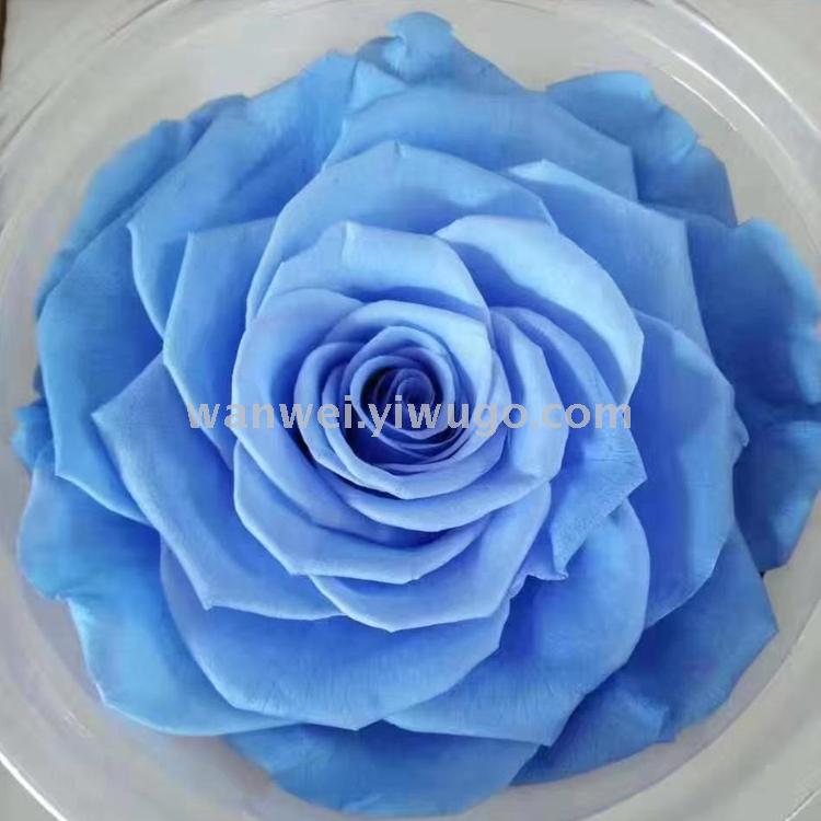 Wanwei Everlasting Preserved Flower Giant never-fading Rose Little Prince Glass Cover Special details Picture