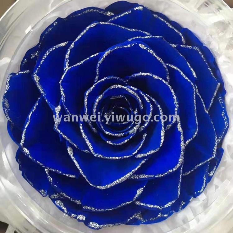 Wanwei imported giant seven-color preserved flowers wholesale, everlasting flowers wholesale details Picture