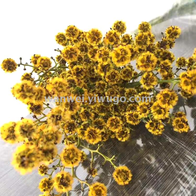 Imported preserved flowers, various preserved flower accessories, plush balls, exclusively for flower shops details Picture