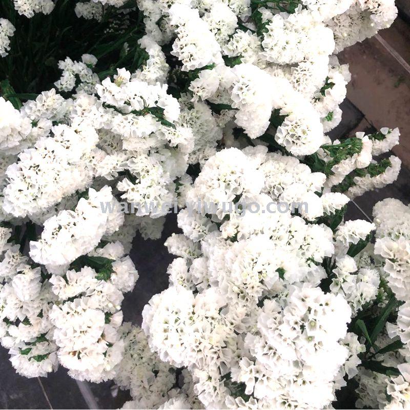 永生保鲜花勿忘我 工艺品 饰品 插花专用花材细节图