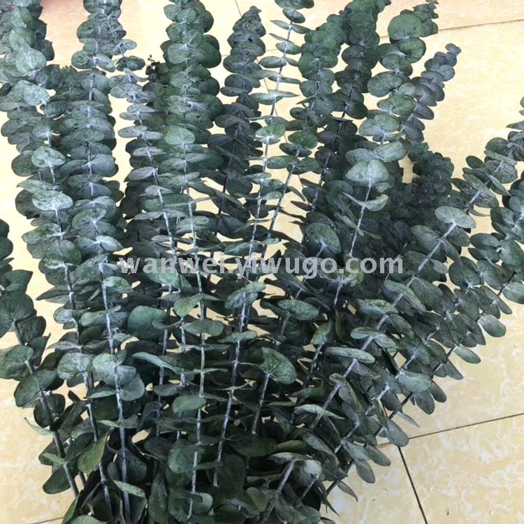 Imported everlasting flowers, Eucalyptus preserved flowers, various everlasting flower accessories, exclusively for flower shops