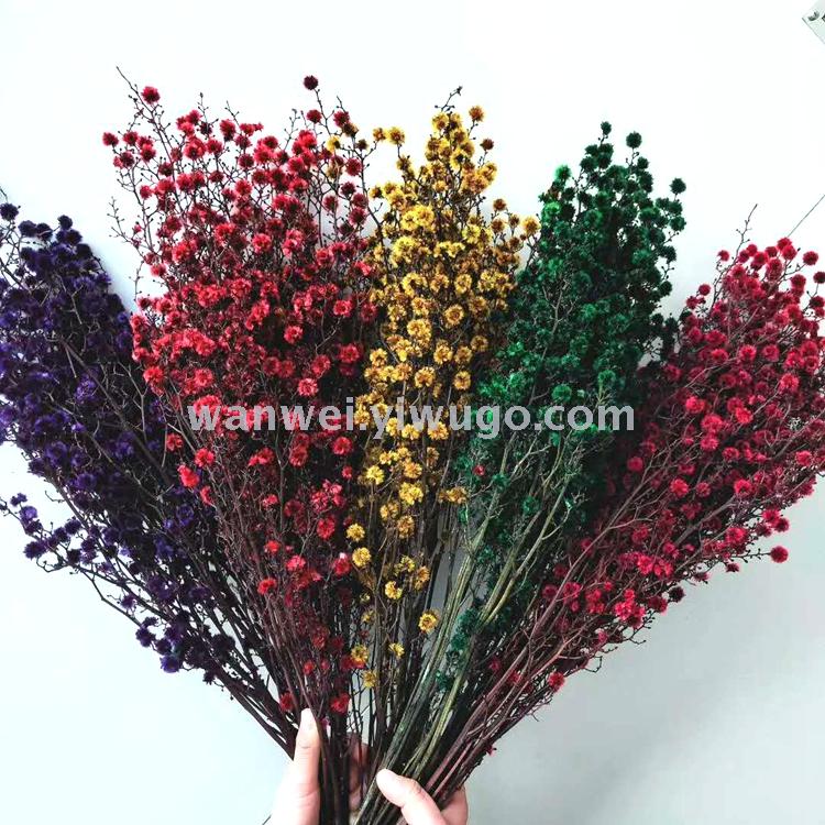 Imported preserved flowers, various preserved flower accessories, plush balls, exclusively for flower shops Application Scenario
