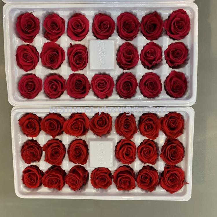 A2-3CM eternal natural fresh-keeping rose that won't fall Specification image