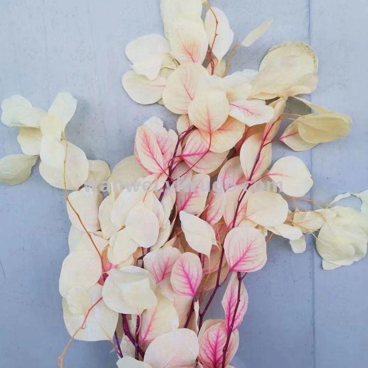 Eternal preserved fresh flowers, eucalyptus apple leaf handicrafts, glass cover, specially designed for flower arrangement details Picture