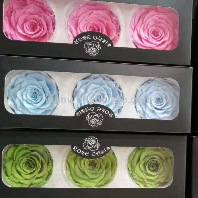 Natural, everlasting and fresh-keeping rose handicrafts, specially designed for Little Prince Flower Art details Picture