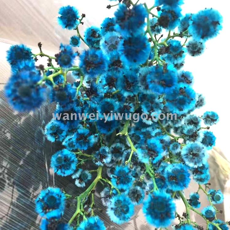 Imported preserved flowers, various preserved flower accessories, plush balls, exclusively for flower shops