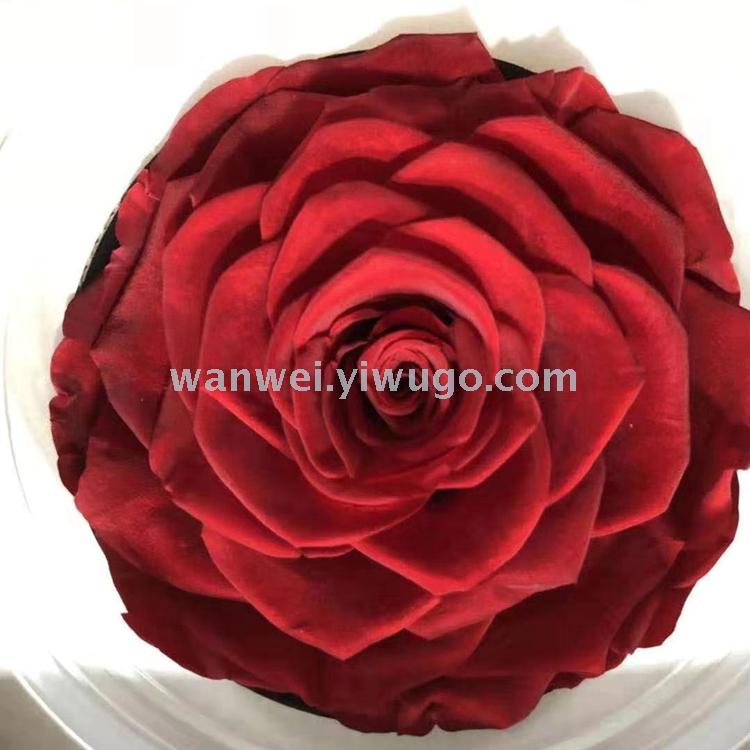 Wanwei Everlasting Preserved Flower Giant never-fading Rose Little Prince Glass Cover Special
