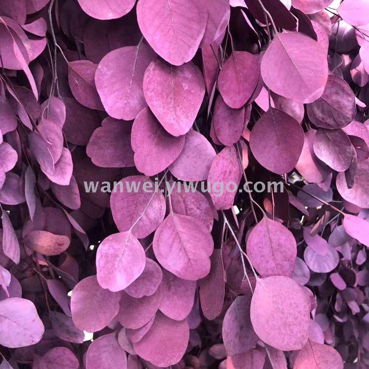 Eternal preserved fresh flowers, eucalyptus apple leaf handicrafts, glass cover, specially designed for flower arrangement Item Picture